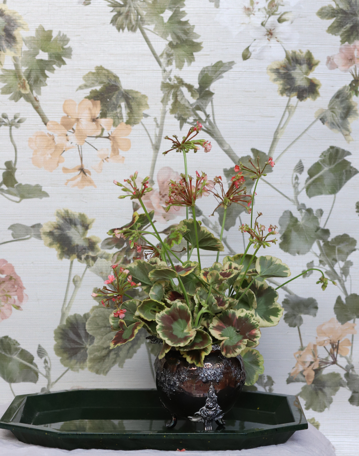 Geranium Grasscloth, Terracotta