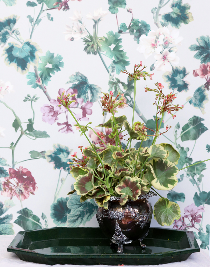 Geranium, Mint