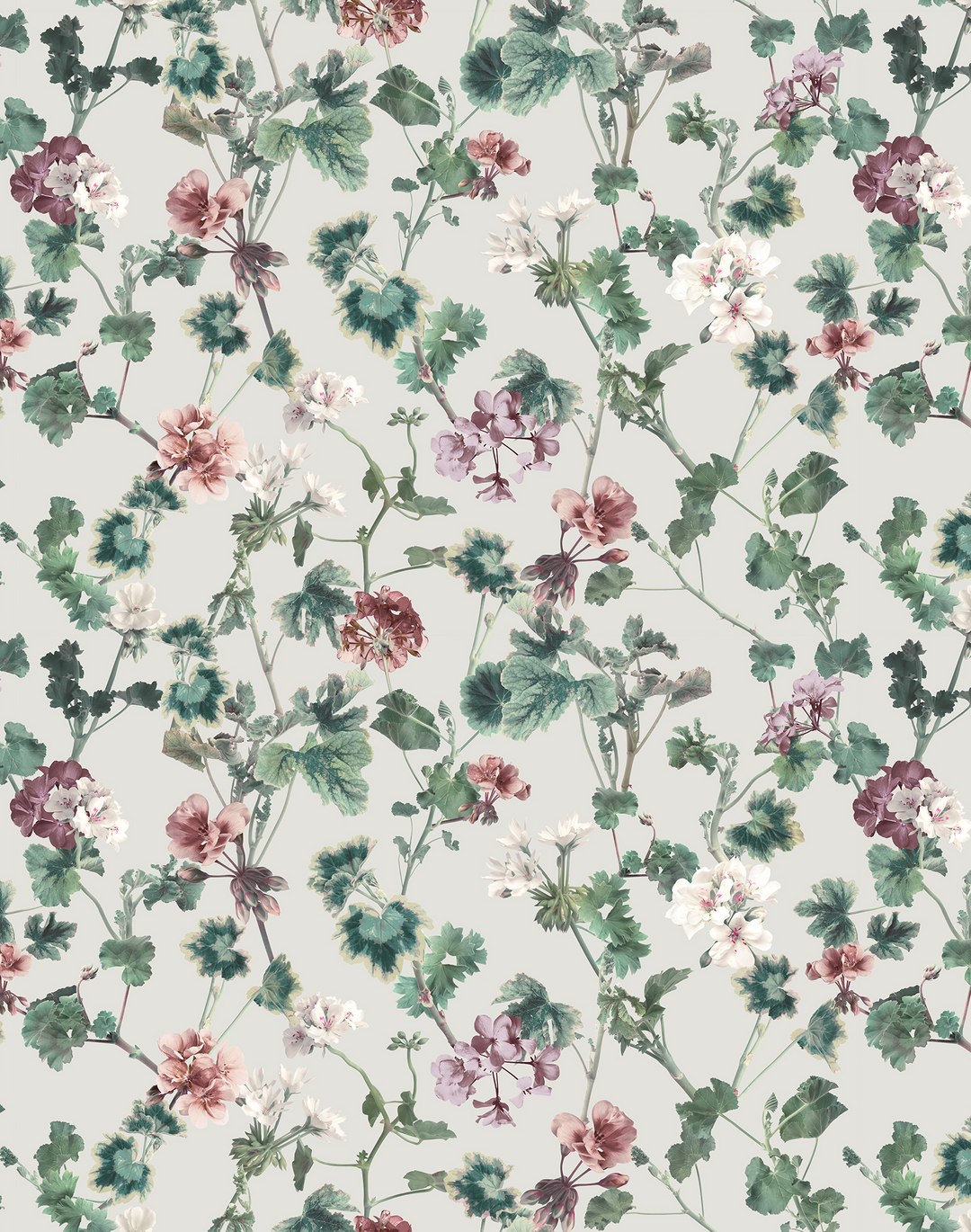 Geranium, Mint