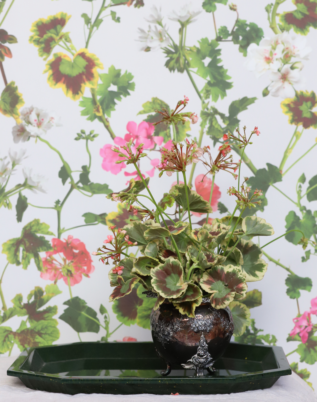 Geranium, Natural