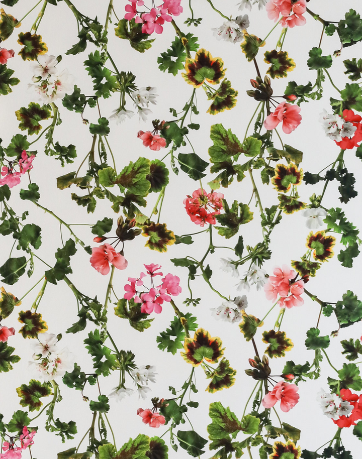 Geranium, Natural