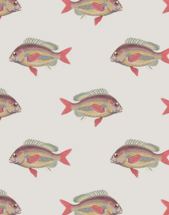 Going Swimmingly, Cream