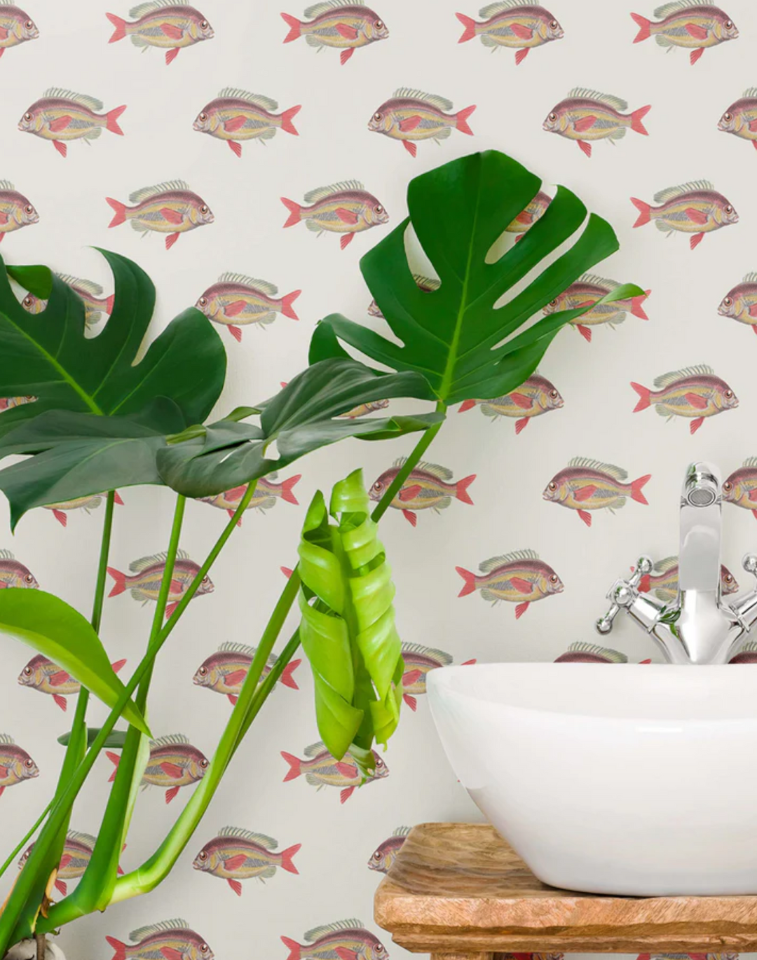 Going Swimmingly, Cream