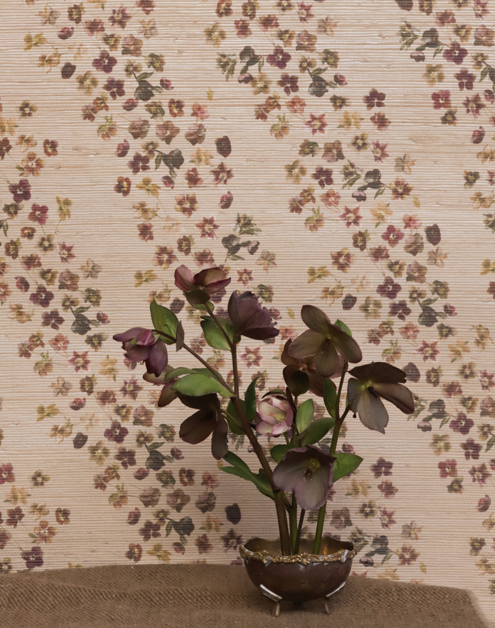 Hellebore Grasscloth, Clay