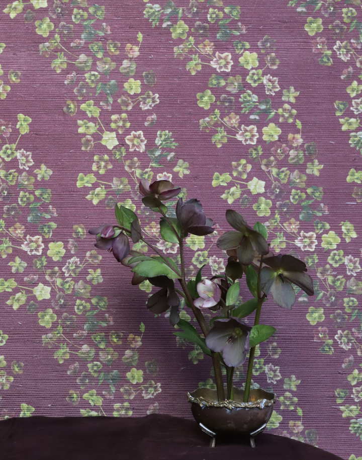Hellebore Grasscloth, Mulberry