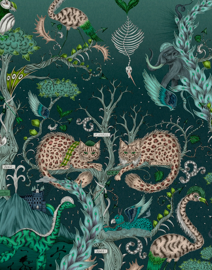 Highland Wonder, Lagoon W0202-01