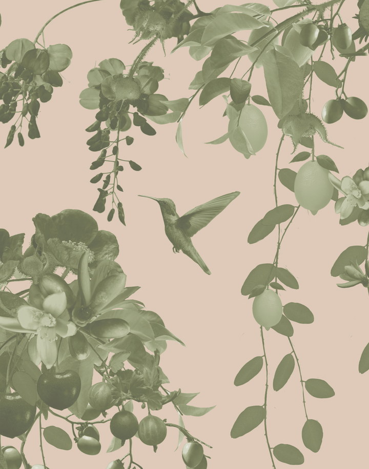 Hummingbirds Secret Garden, Blush & Moss