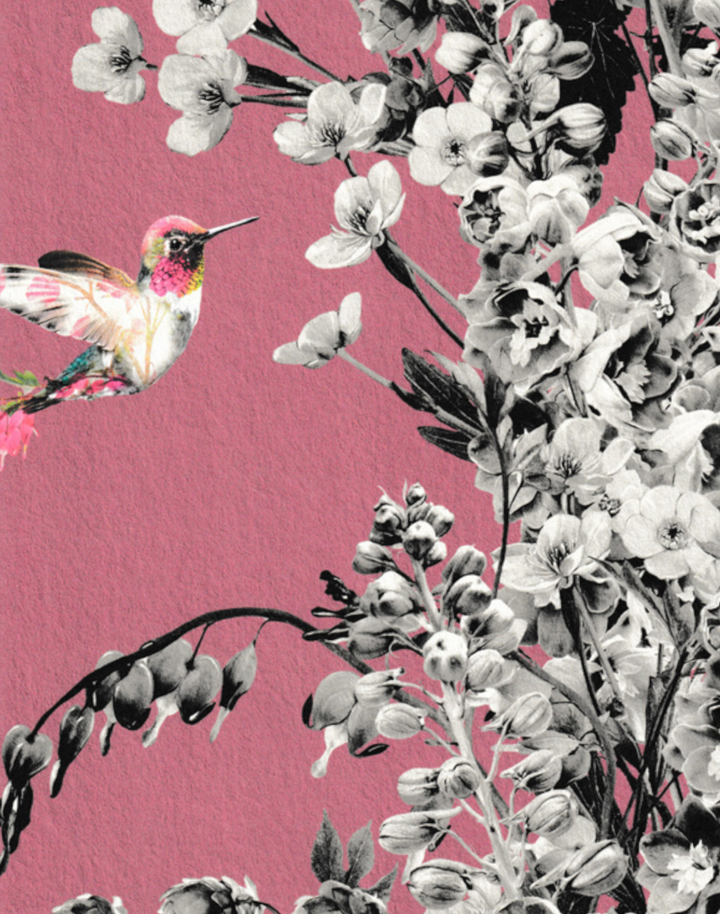 Hummingbird Black & White, Deep Mauve