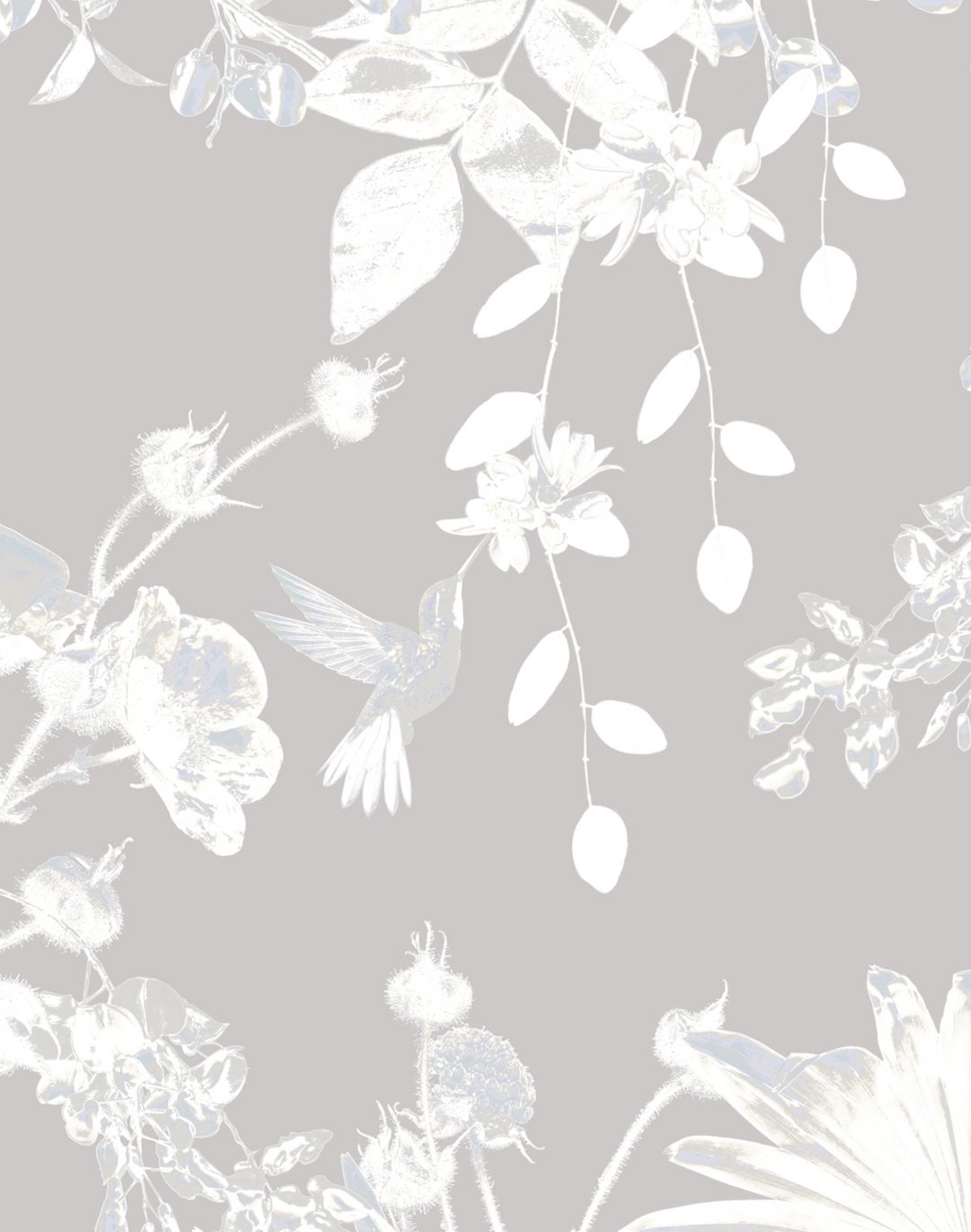 Hummingbirds Secret Garden, Ivory