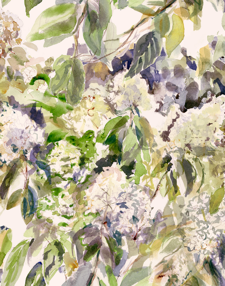 Hydrangea Garden, Ametrine