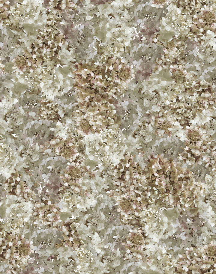 Hydrangea Mural, Antique