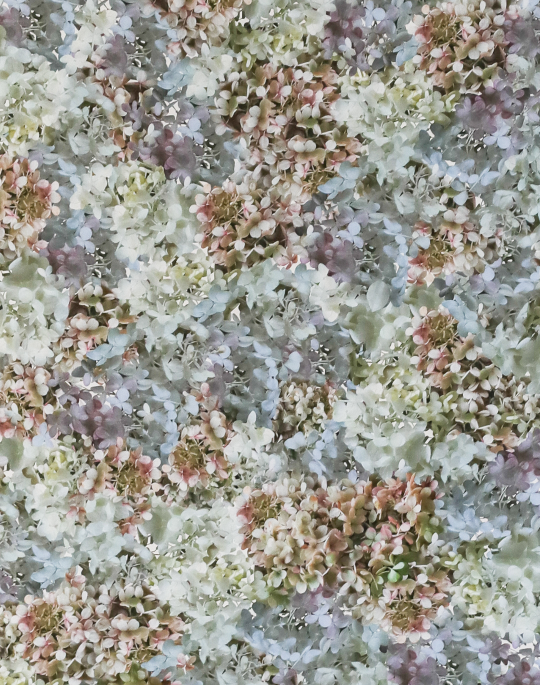 Hydrangea Mural, Natural