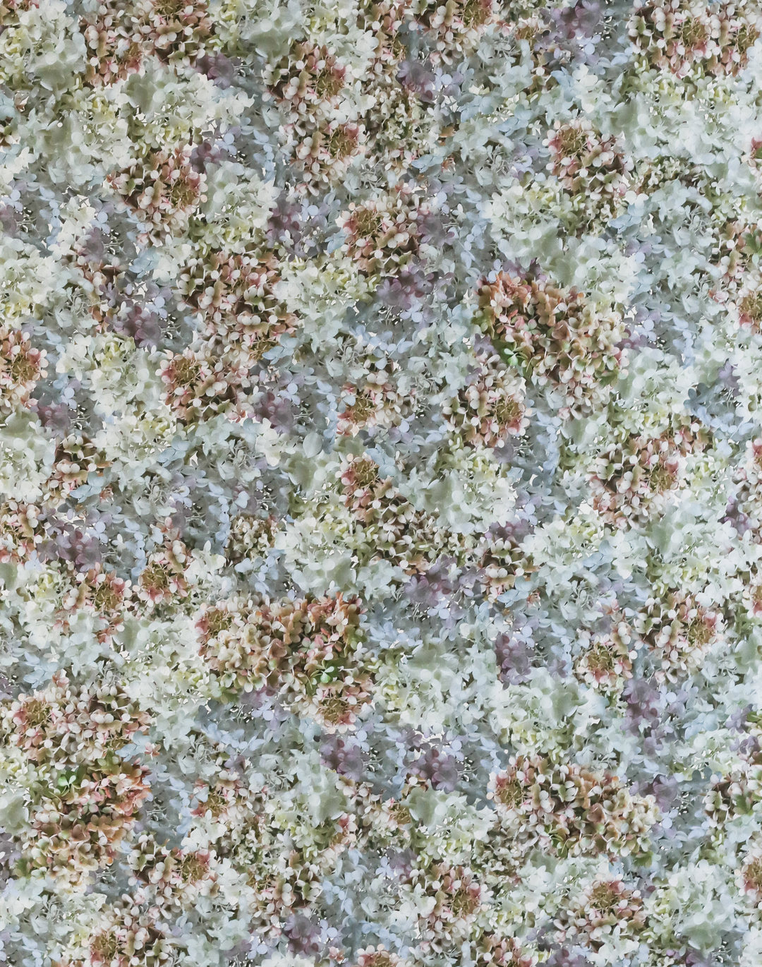 Hydrangea Mural, Natural