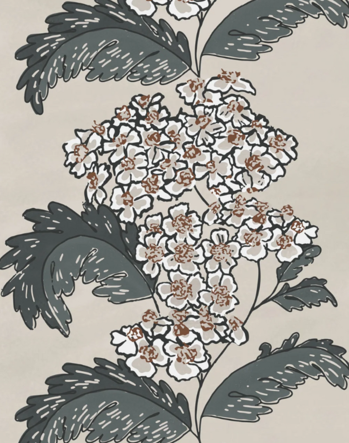 Hydrangeas, Oatmeal