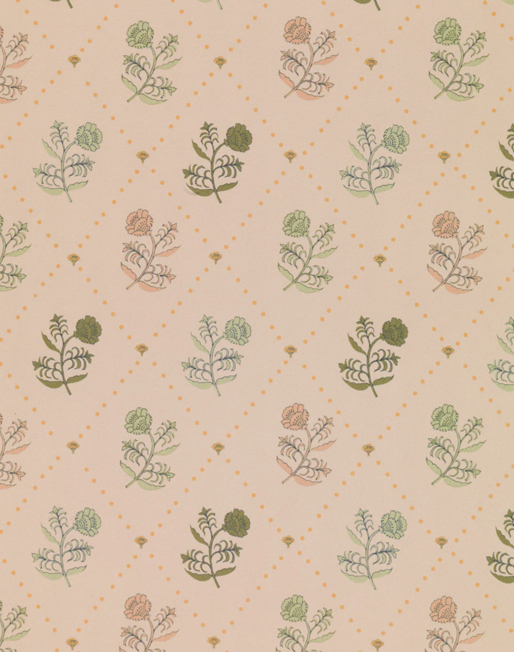 Jaipur, Hunter Plaster