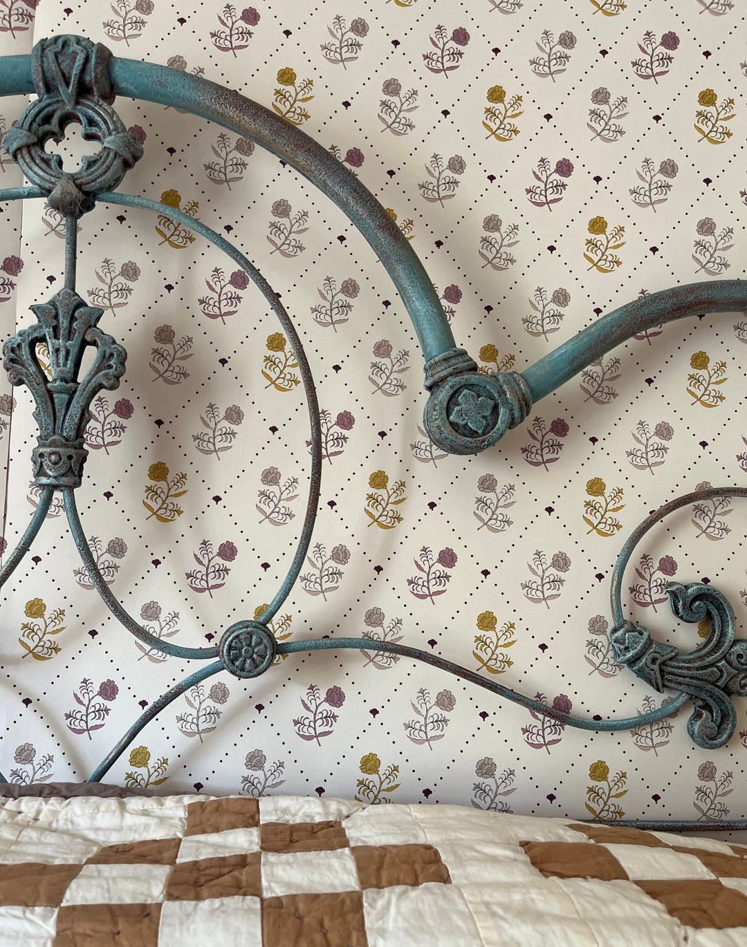 Jaipur, Saffron Rose