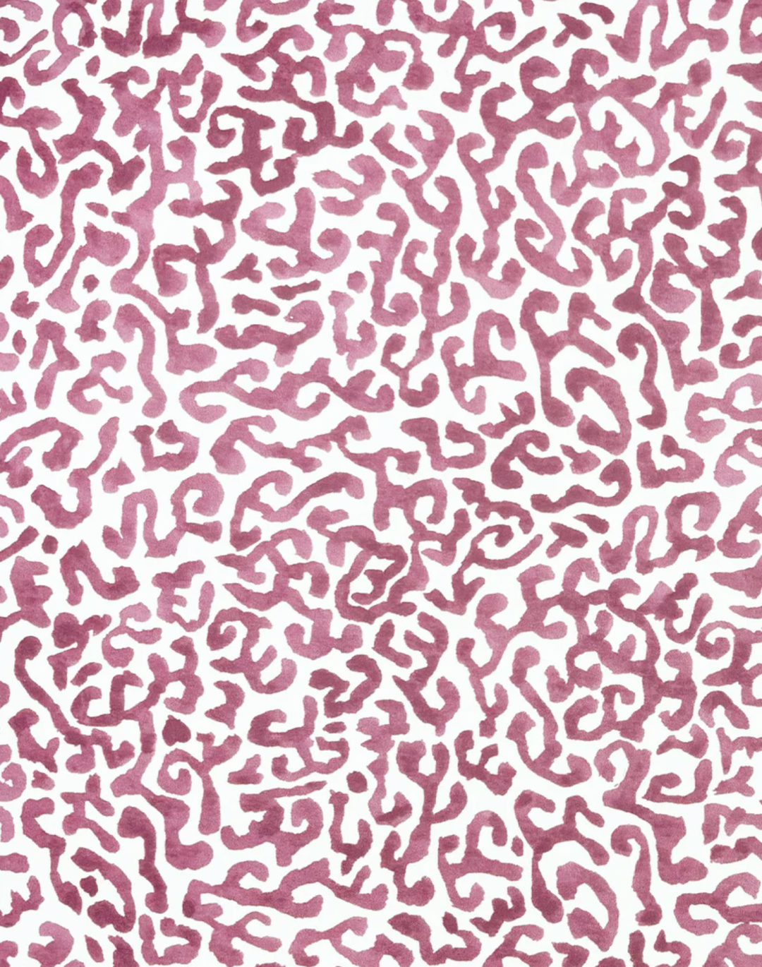 Java, Magenta Blush