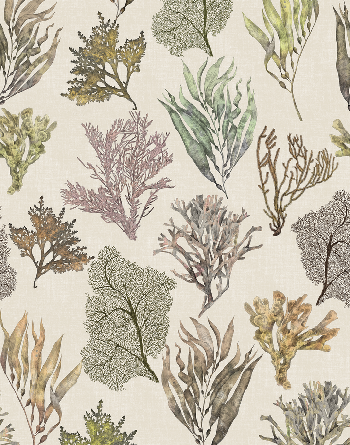 Kelp Forest, Vintage Original