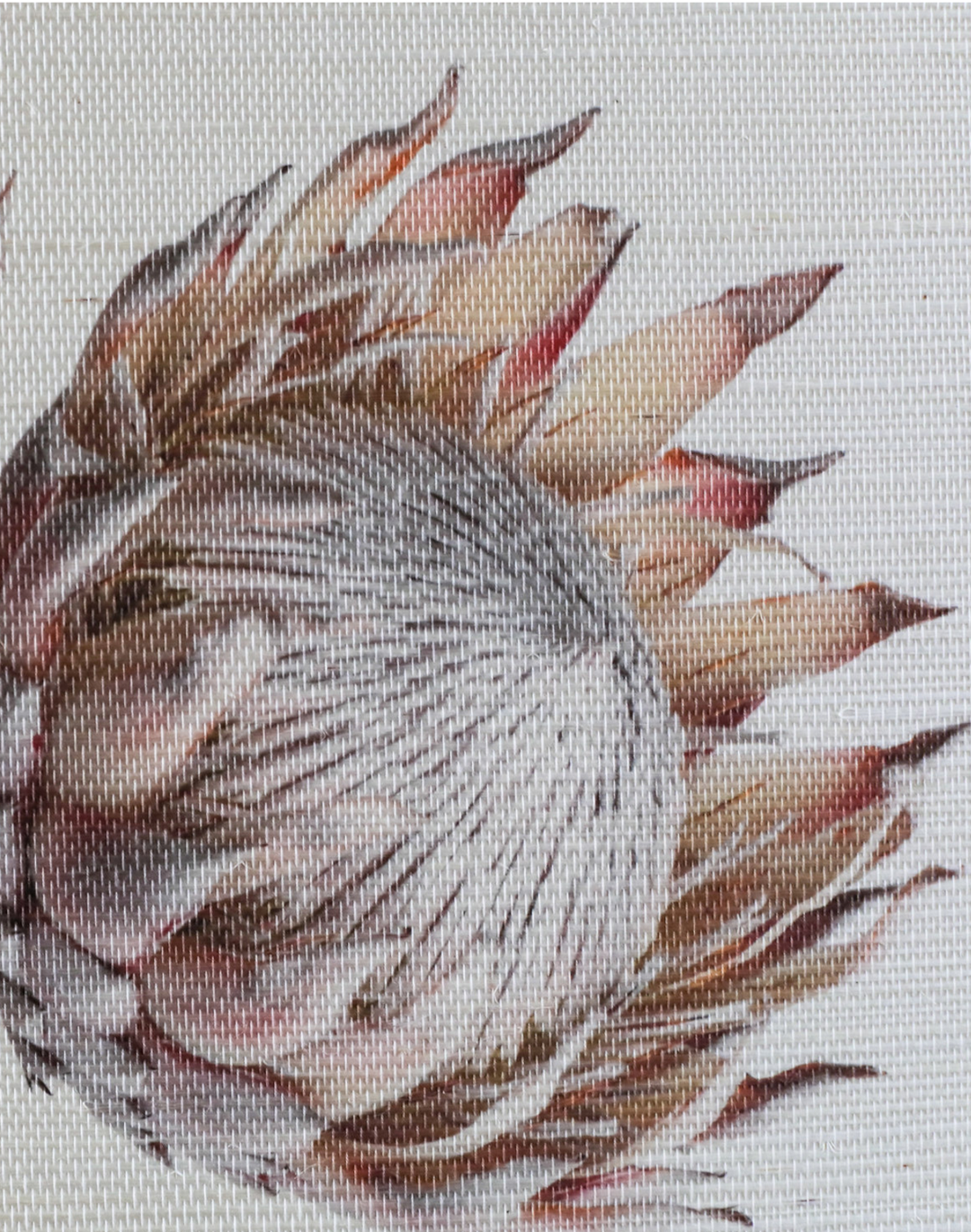 King Protea Grasscloth