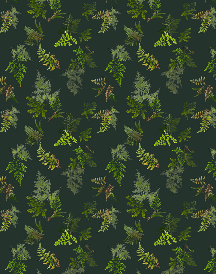 Knysa Fern, Dusk
