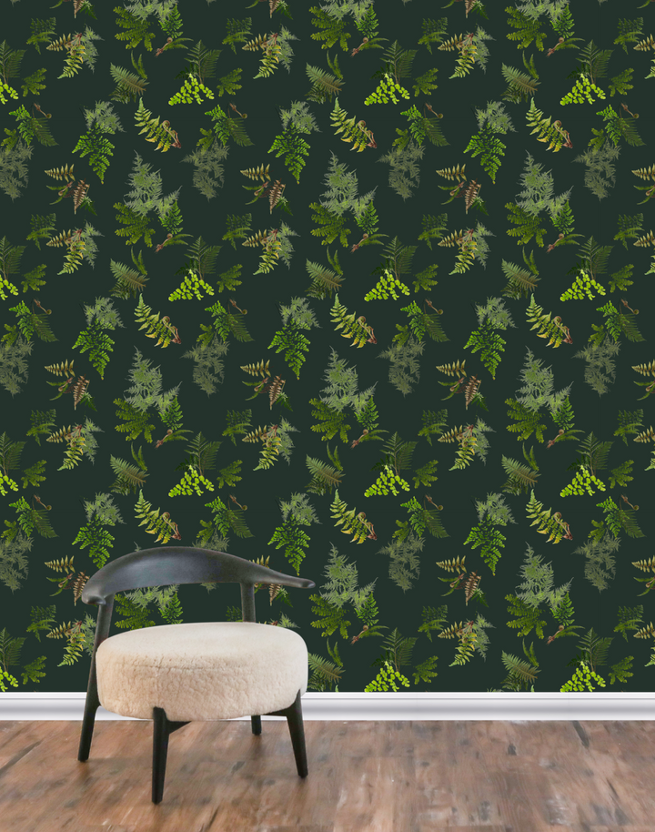 Knysa Fern, Dusk