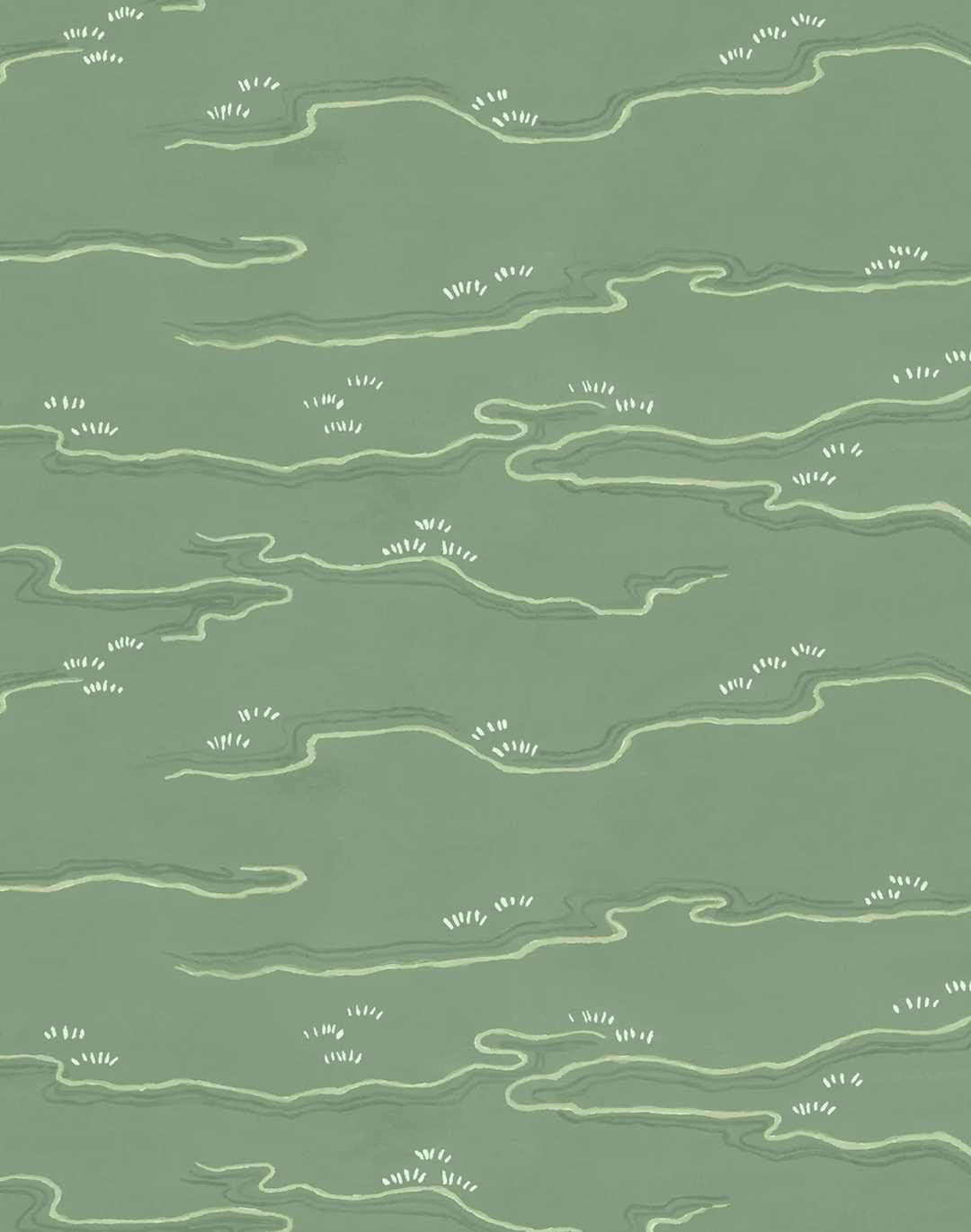 Kyoto, Olive Grove WPLN0176