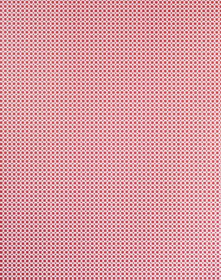Lattice Cane, Red/Pink