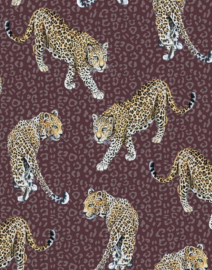 Leopard, Aubergine
