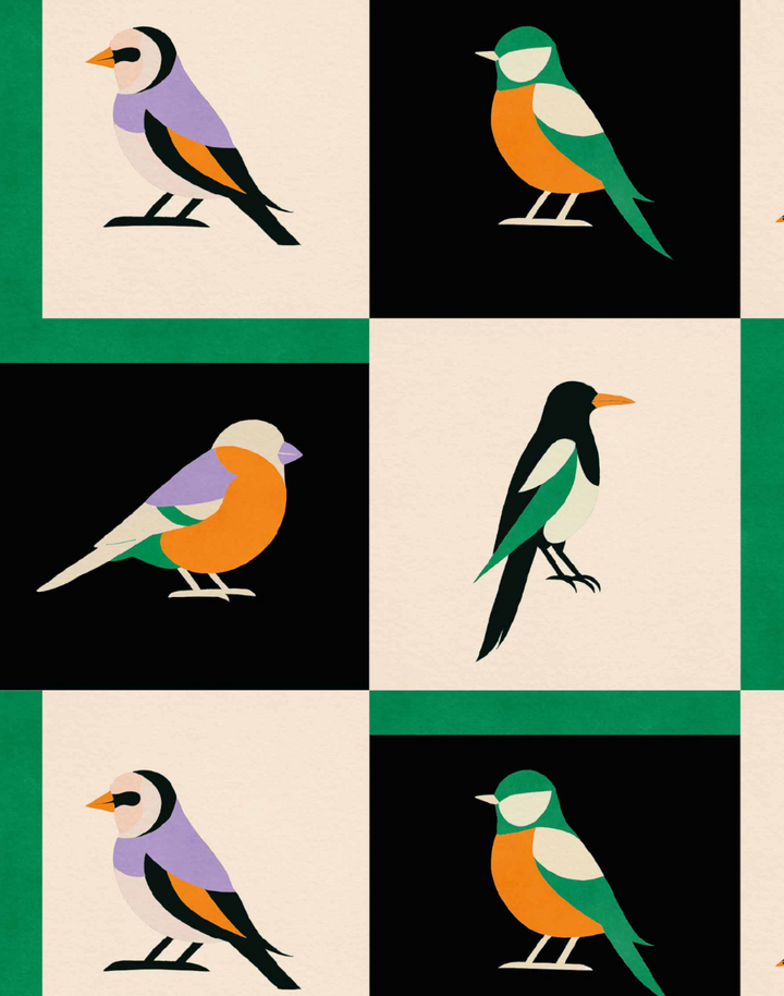 Like A Bird, Noir C00133N