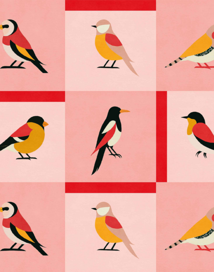 Like A Bird, Pink C00138N