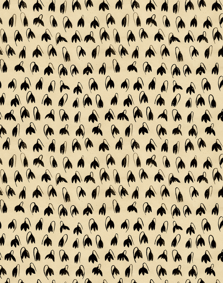 Lilly Farrows Grasscloth, Silhouette Shade WPLN0165