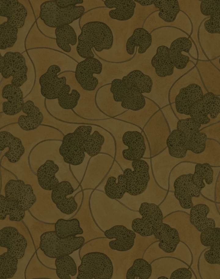 Lilypad, Dark Truffle WPLN0192