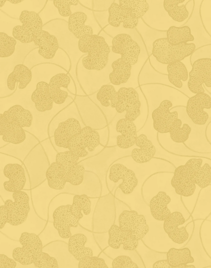 Lilypad, Golden Hour WPLN0187