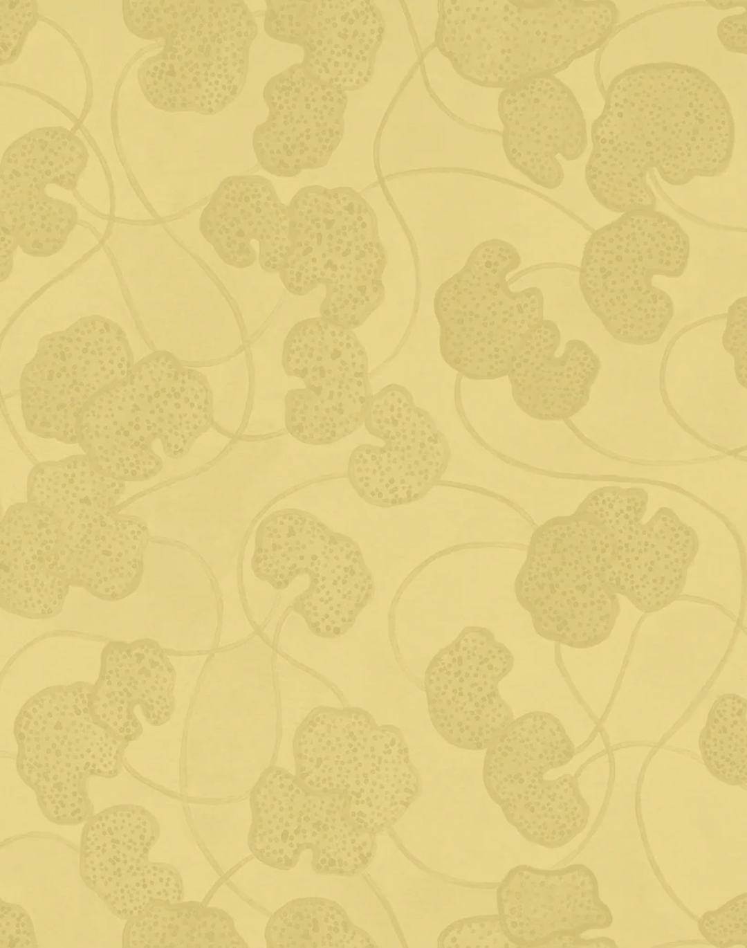 Lilypad, Golden Hour WPLN0187