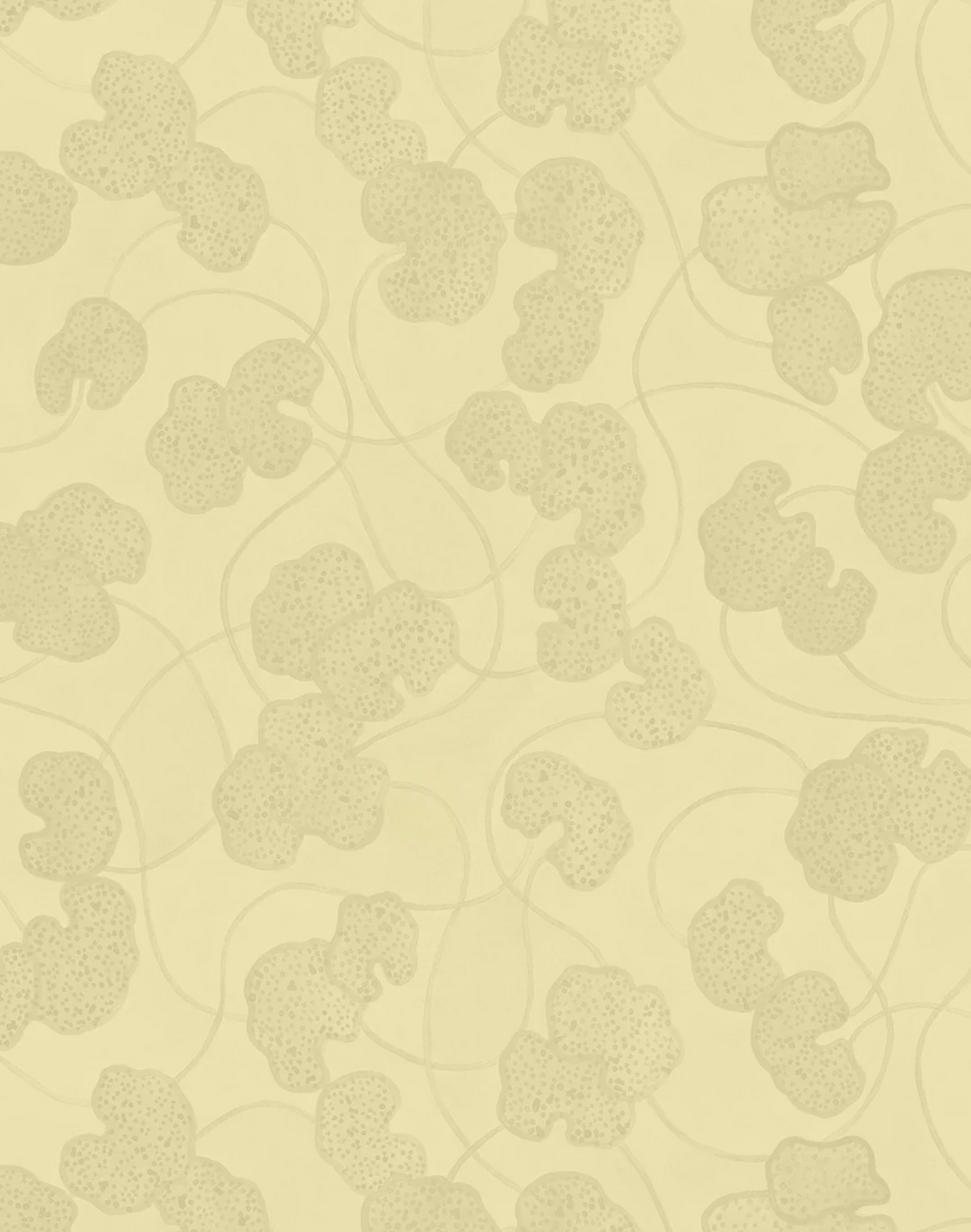 Lilypad, Pancake Batter WPLN0188