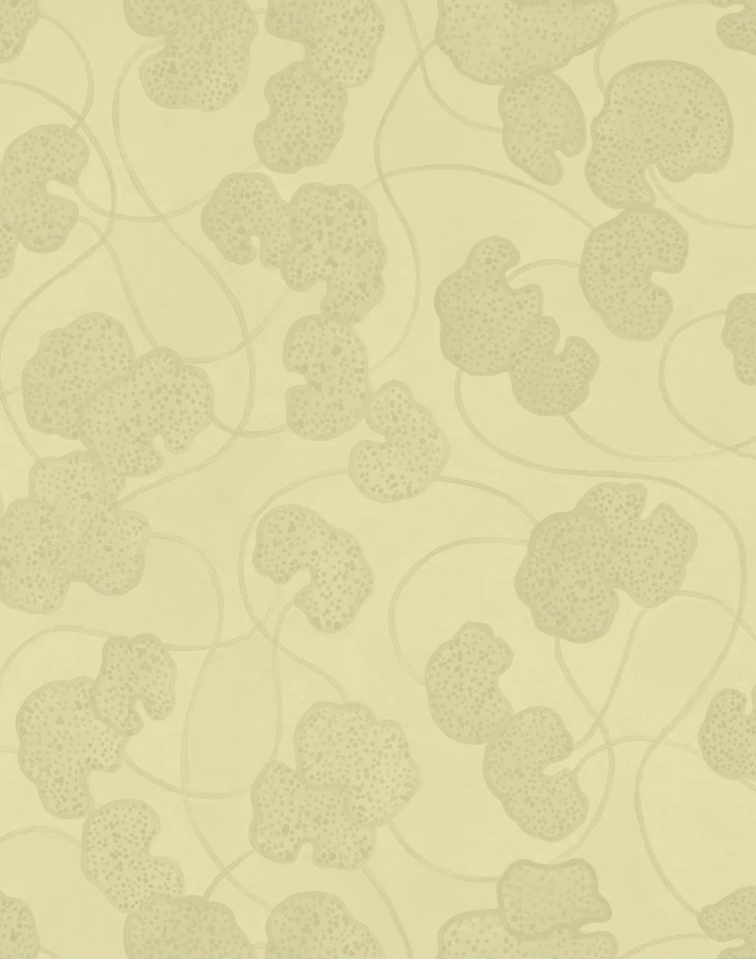 Lilypad, Pancake Batter WPLN0188