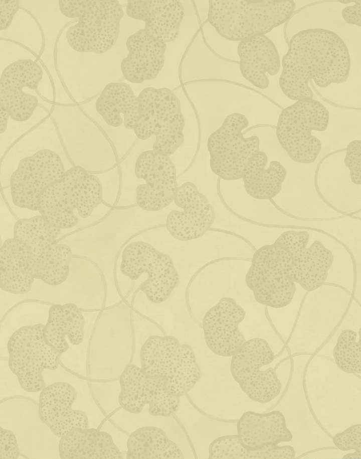 Lilypad, Pancake Batter WPLN0188
