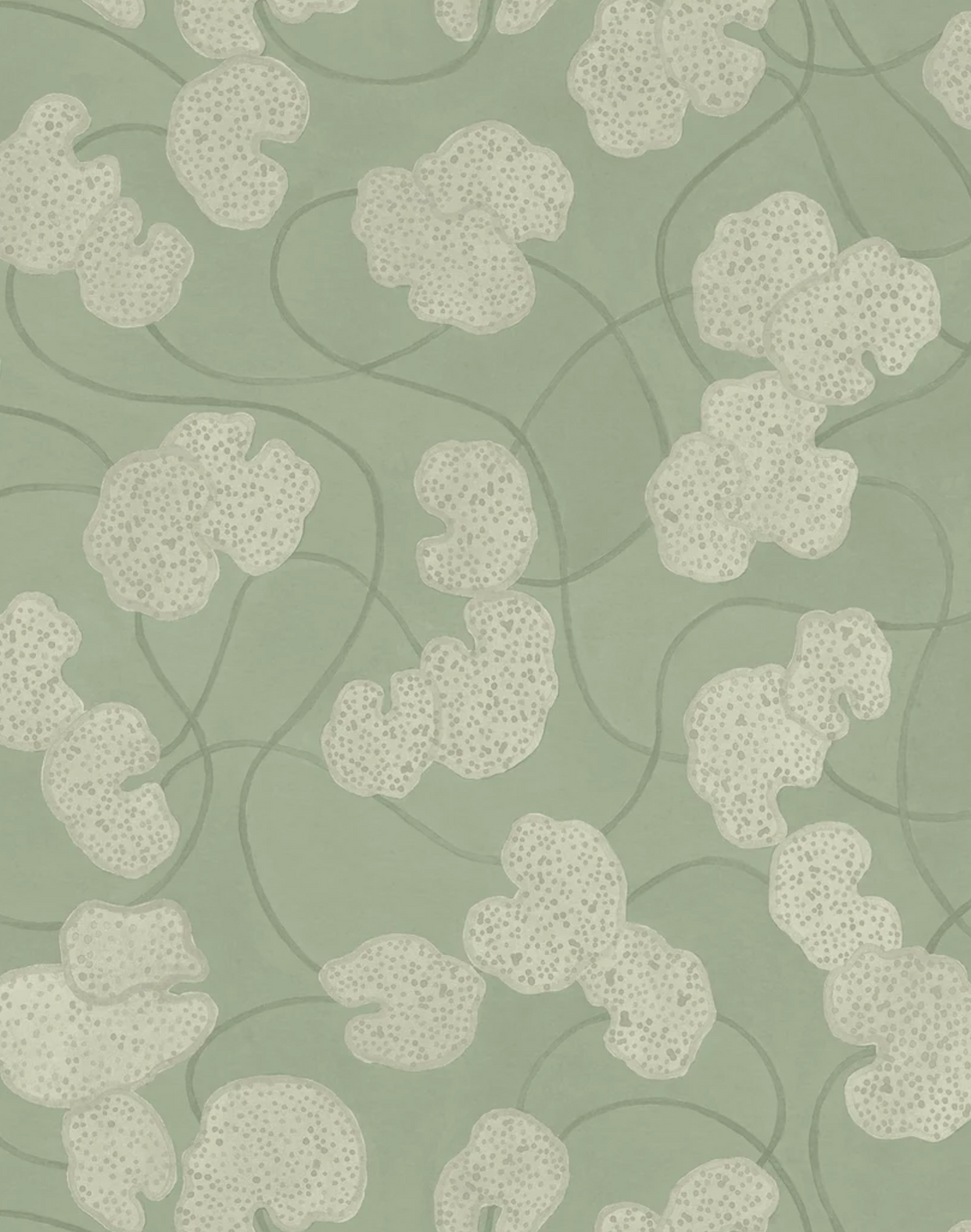 Lilypad, Treron WPLN0191