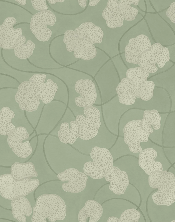 Lilypad, Treron WPLN0191
