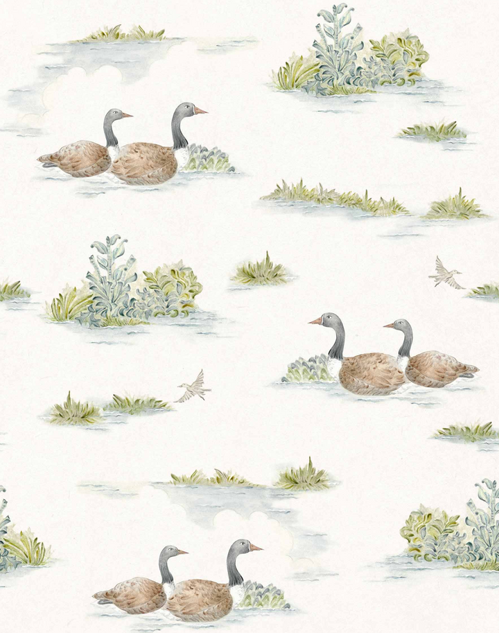 Mallard-Duck, Sage YSP0536
