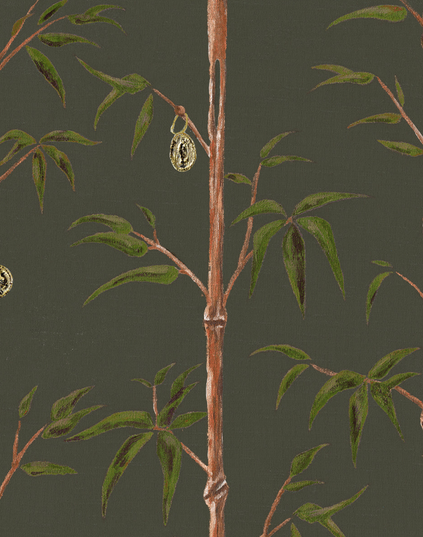 money tree 1800 number Money Tree, Forest