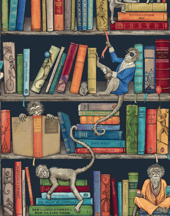 MONKEY LIBRARY COLORFUL BLUE