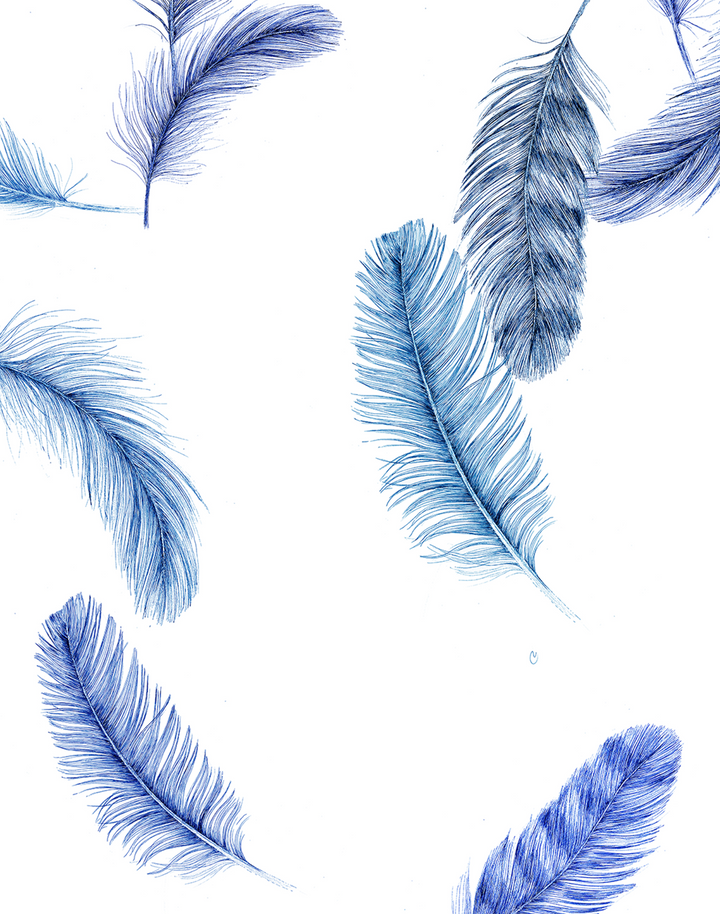 Newton Creek, Signature Blue