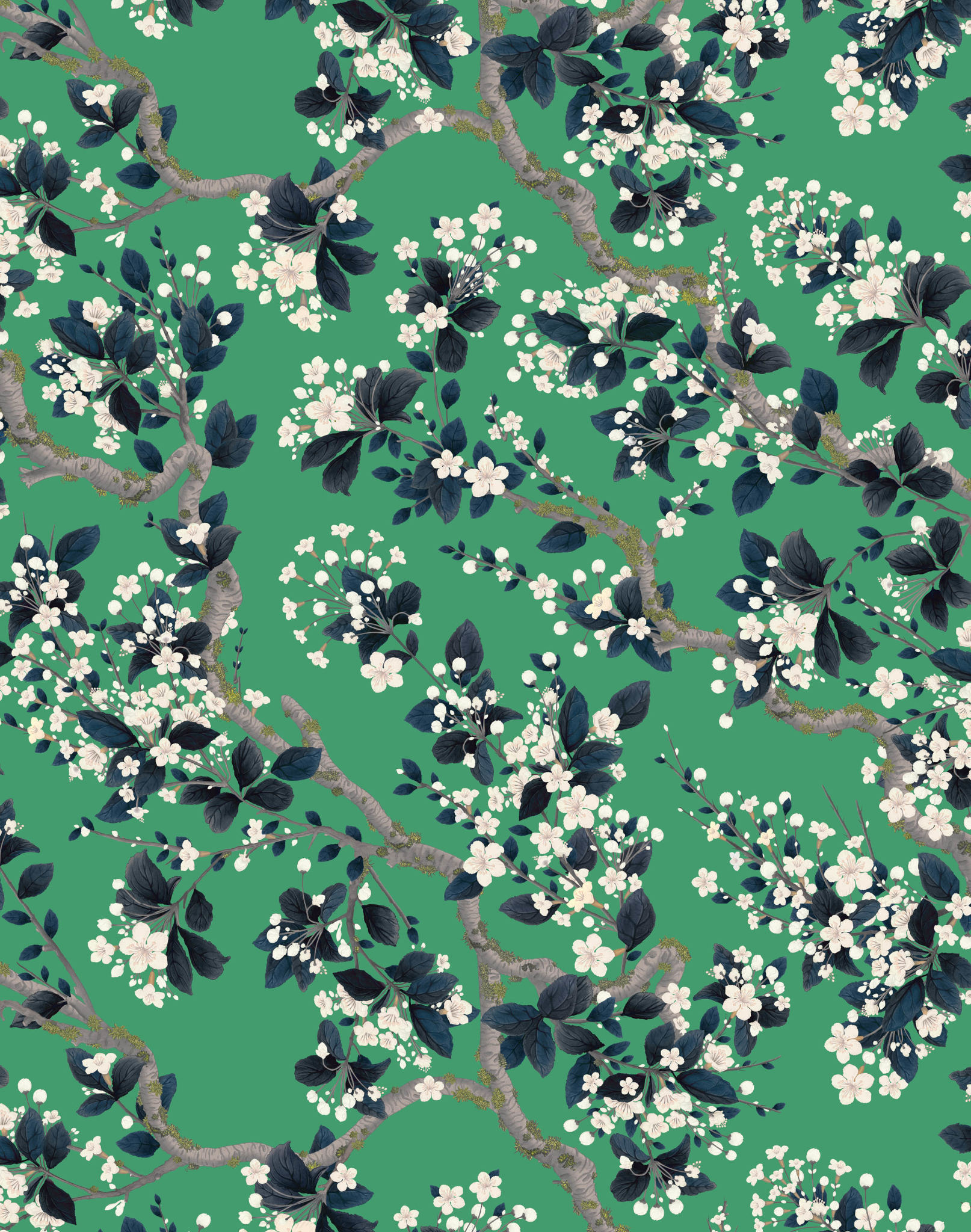 Nimbus W-NIM-BGR-NKA – The Pattern Collective