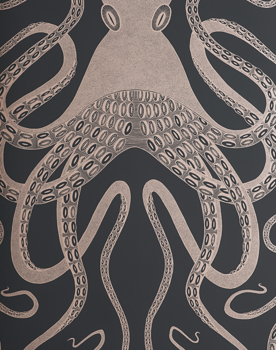 Octopus, Black Ink