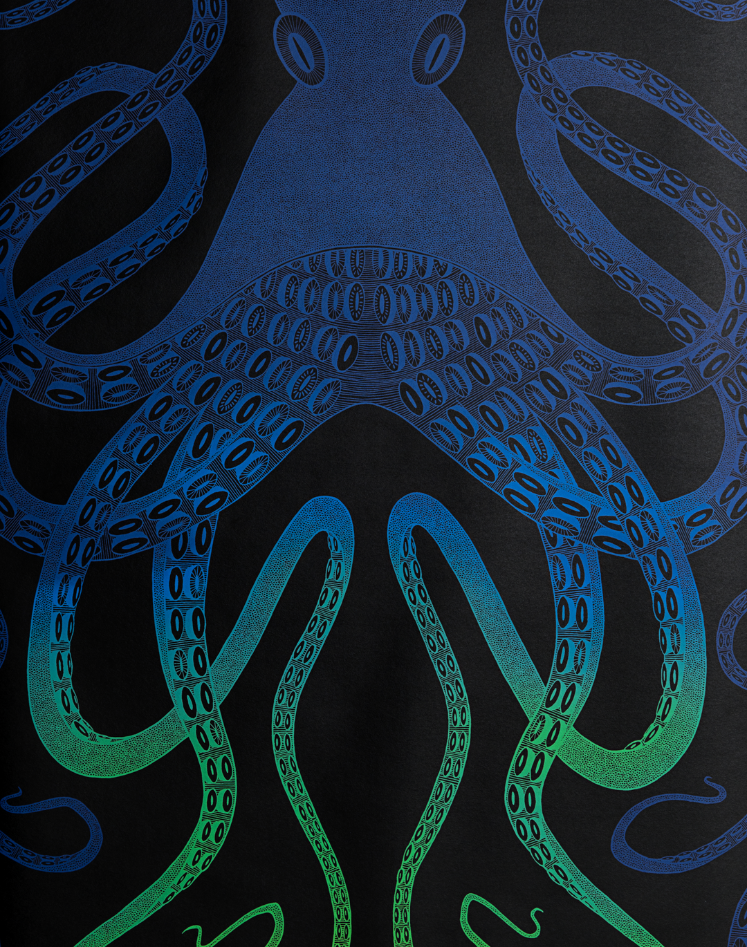 Ombre Octopus, Blue/Green