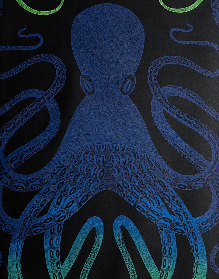 Ombre Octopus, Blue/Green