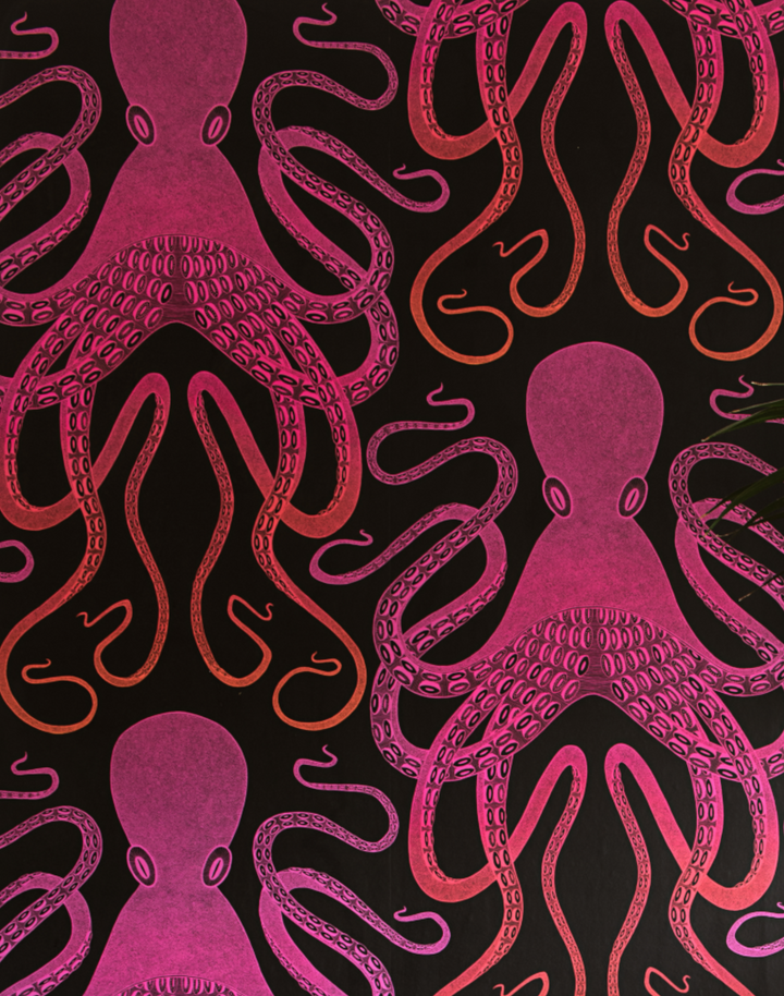 Ombre Octopus, Pink/Orange