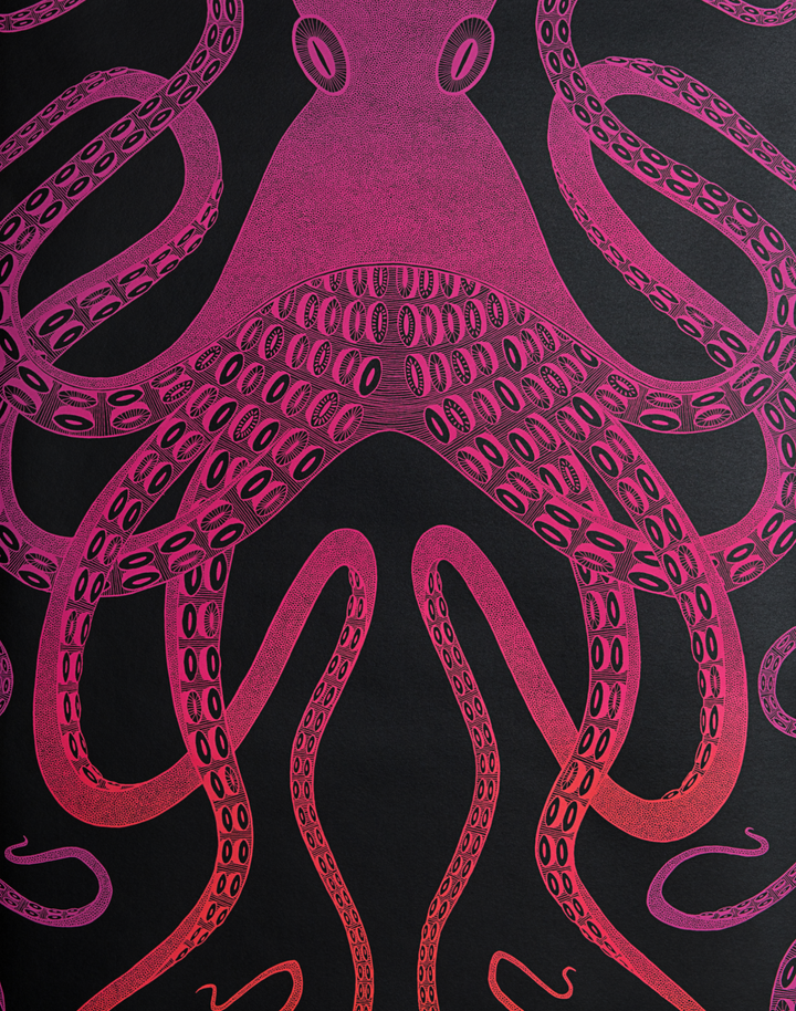 Ombre Octopus, Pink/Orange