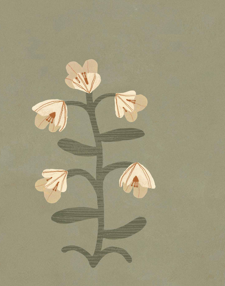 Pacific Blooming, Green NP5105-1